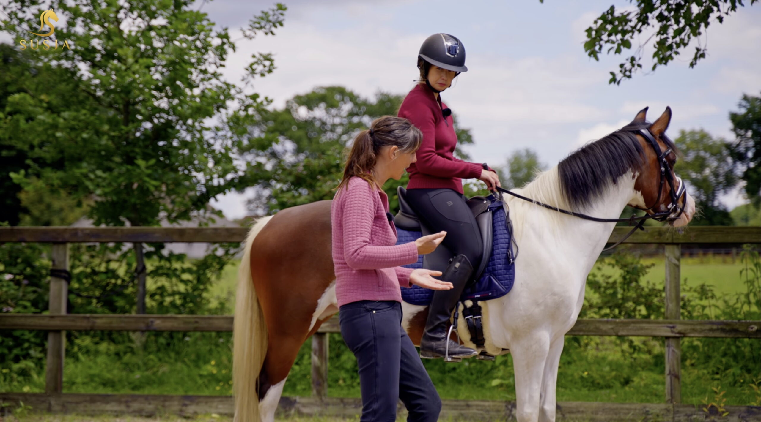 Documentary: Ylvie - susja